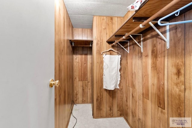 413 Cooper Ln Unit 24, 25, 26, La Feria, TX 78559 - view of spacious closet