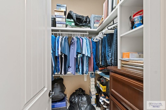 view of walk in closet