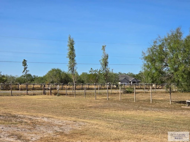 view of yard with a rural view