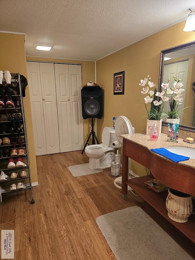 interior space with sink, wood-type flooring, and a textured ceiling