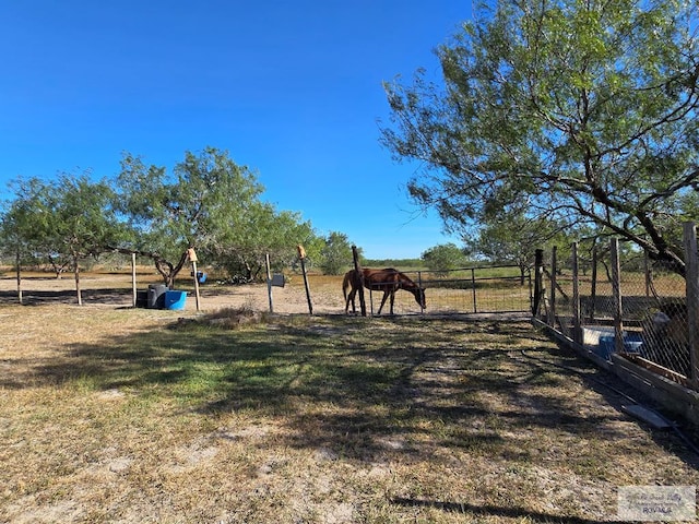 view of yard featuring a rural view