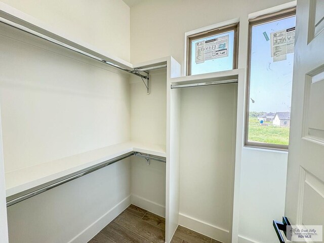 spacious closet featuring dark wood-type flooring