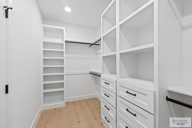 29002 Reynolds Dr # 18, La Feria, TX 78559 - walk in closet featuring light wood-type flooring