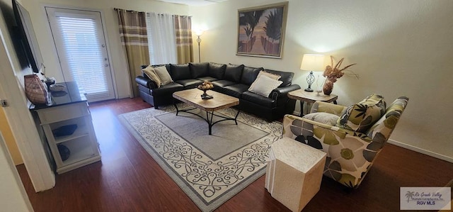 living room with dark hardwood / wood-style floors