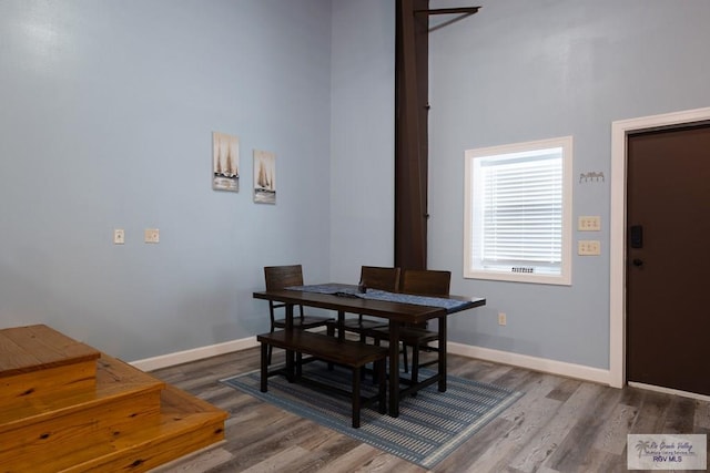 dining space featuring dark hardwood / wood-style flooring