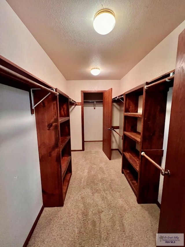 spacious closet featuring light carpet