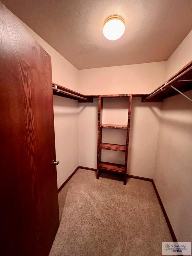 walk in closet with carpet floors