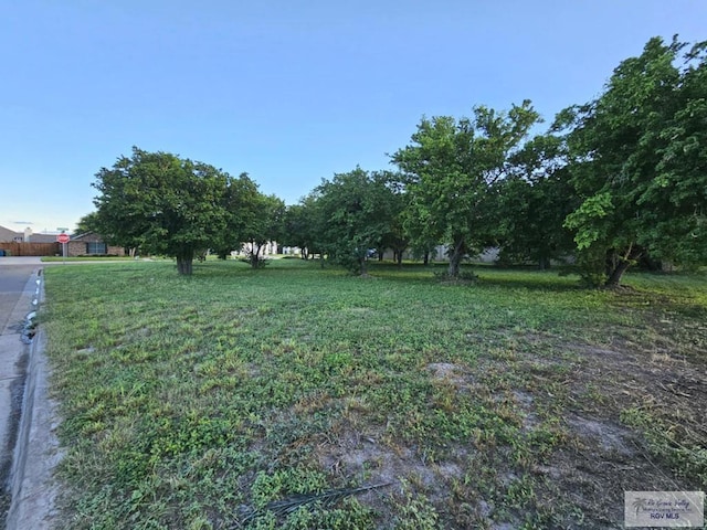 Listing photo 3 for 000000 Dragon Wick, Brownsville TX 78520