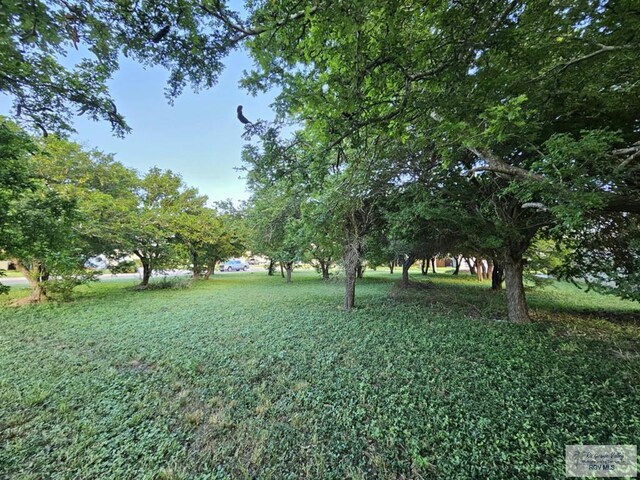 000000 Dragon Wick, Brownsville, TX 78520
