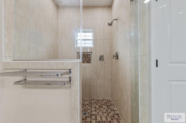 2402 S Christian Cir, Harlingen, TX 78550 - bathroom with a stall shower