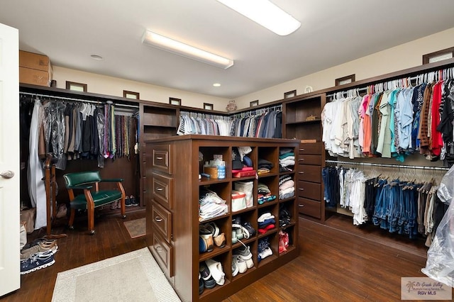 walk in closet featuring dark wood-type flooring