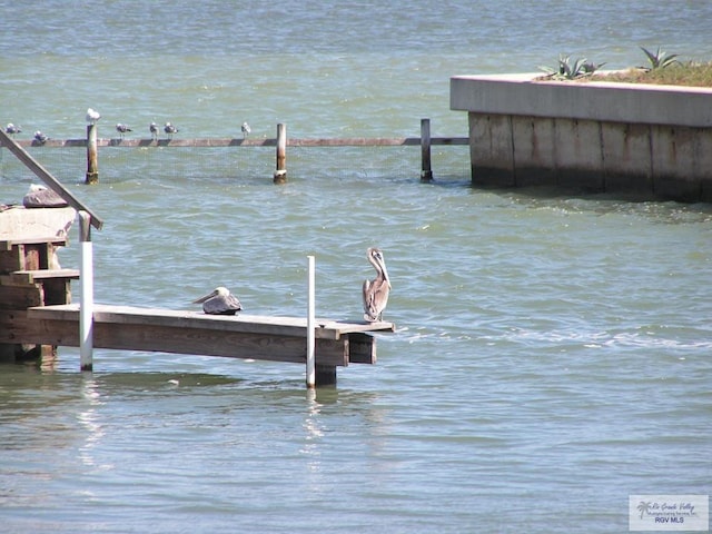 dock area with a water view