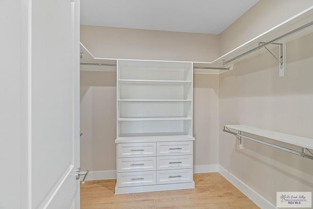 walk in closet with light wood-type flooring