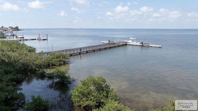 view of water feature with a boat dock