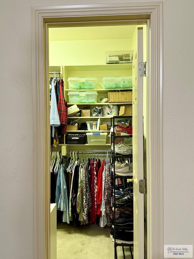 view of closet