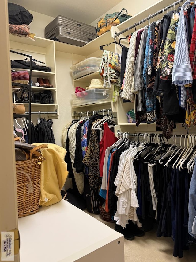 spacious closet featuring carpet floors