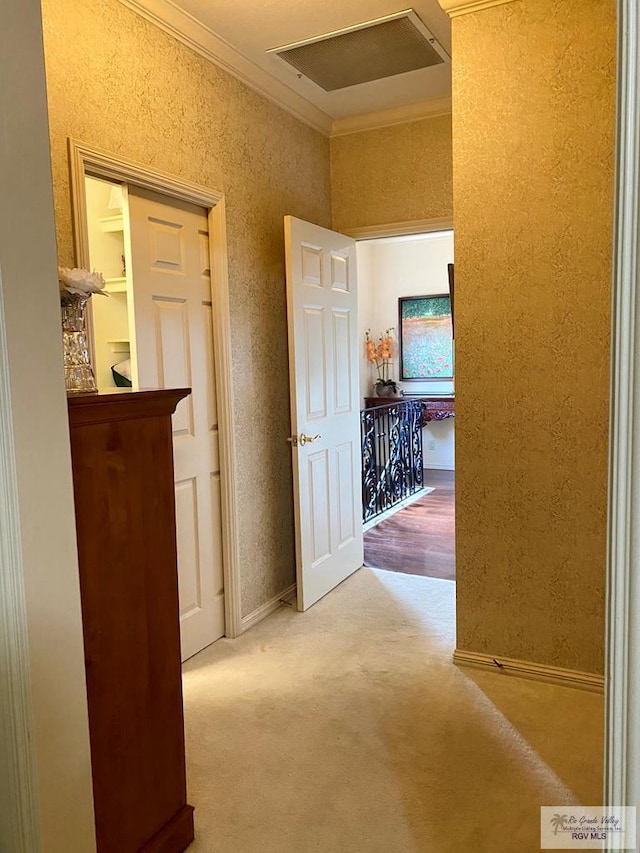 corridor with baseboards, visible vents, a textured wall, crown molding, and carpet flooring