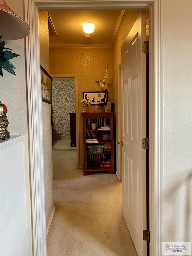 hallway featuring ornamental molding, carpet, and a textured wall