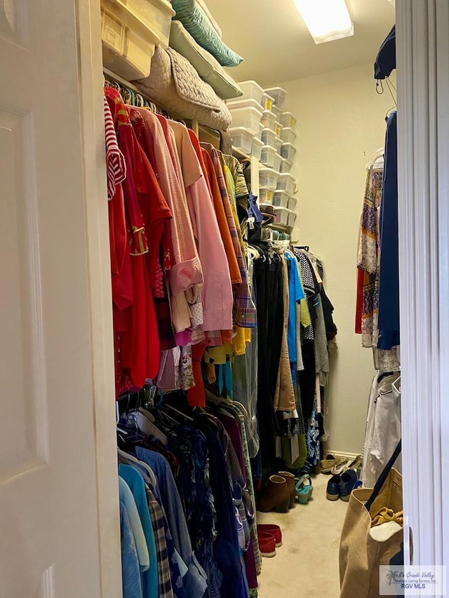 spacious closet with carpet