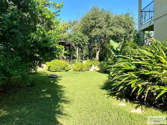 view of yard featuring a balcony