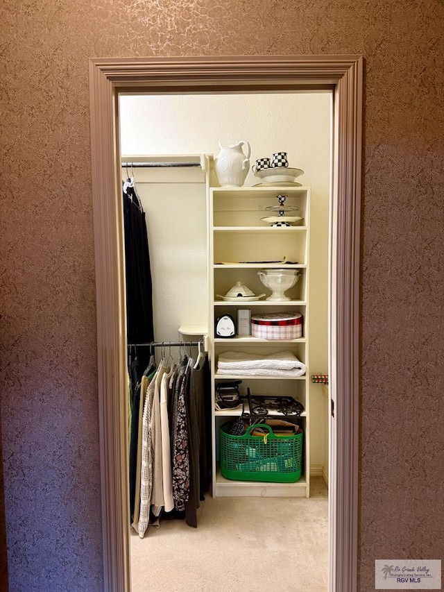 view of closet