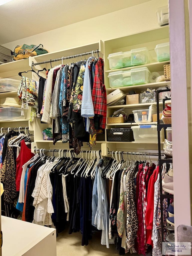 walk in closet featuring carpet