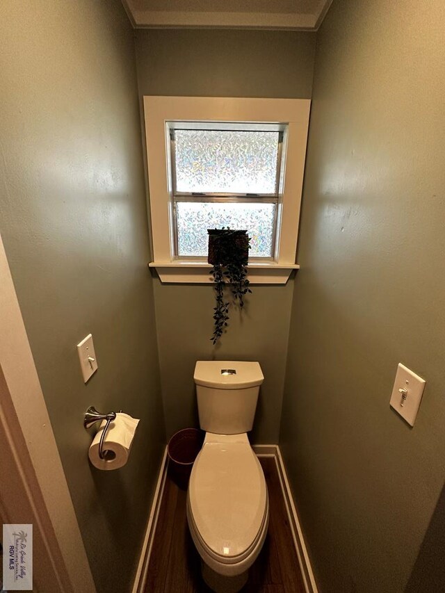 bathroom with toilet and wood-type flooring