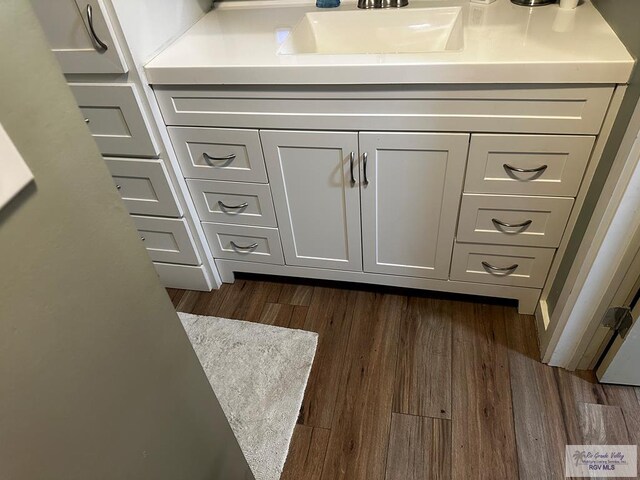 details with hardwood / wood-style floors and sink