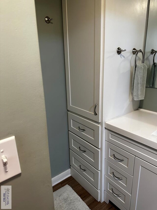 bathroom with wood-type flooring and vanity