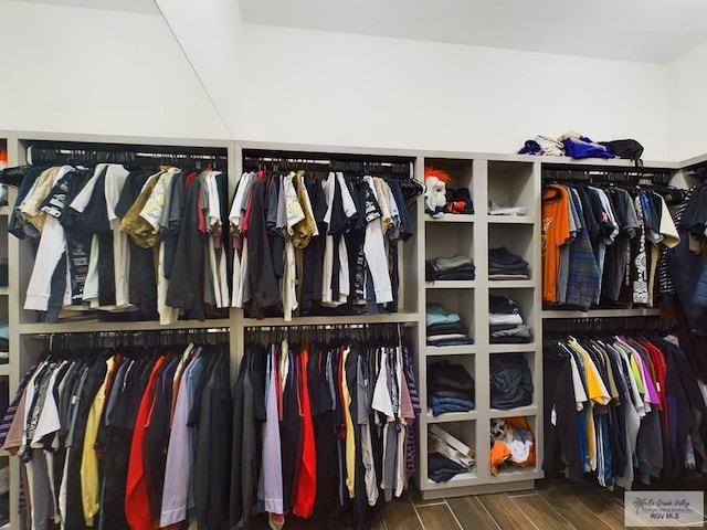 spacious closet featuring dark hardwood / wood-style floors