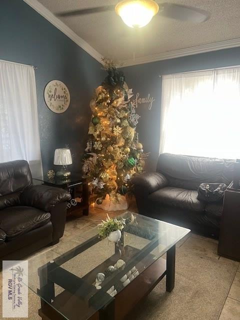 1181 Dukie Dr, Brownsville, TX 78520 - photo 3