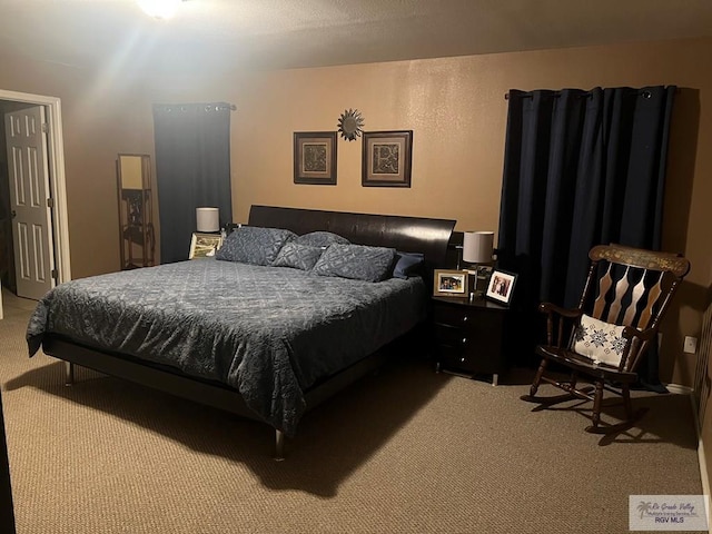 17211 Tangelo Ave, Harlingen, TX 78552 - view of carpeted bedroom