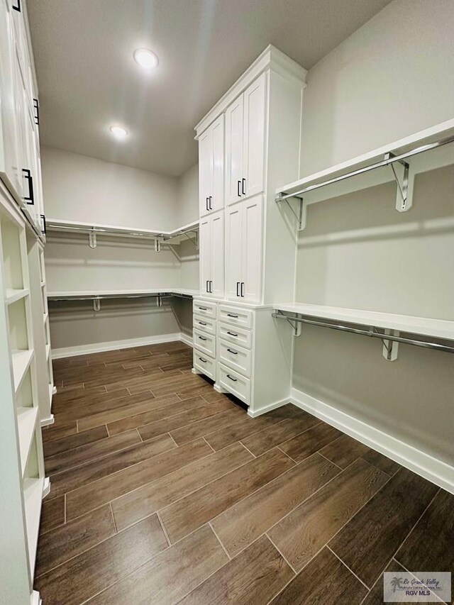 3617 Mattie Ln, Harlingen, TX 78550 - walk in closet with dark wood-style flooring