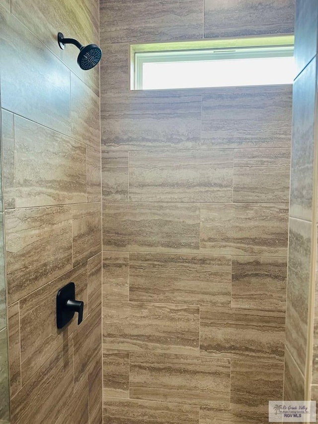 3617 Mattie Ln, Harlingen, TX 78550 - bathroom view of tiled shower