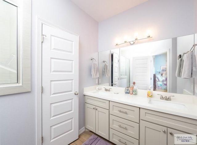 bathroom with vanity and wood-type flooring