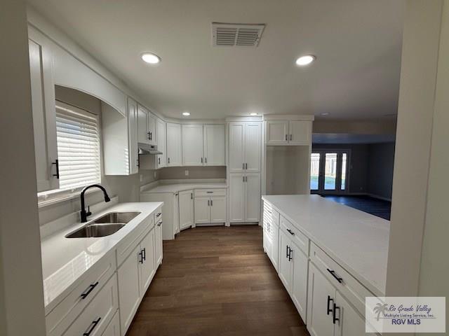 kitchen with white cabinets, under cabinet range hood, light countertops, and a sink