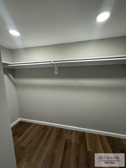 walk in closet with dark wood finished floors