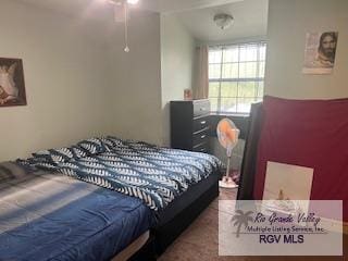 12 Palmetto Ct, Brownsville, TX 78521 - view of bedroom