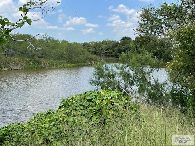 Listing photo 3 for 28.3ACRES Vasquez Rd, San Benito TX 78586