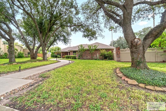 24382 Preston Trl, Harlingen, TX 78552 - view of yard
