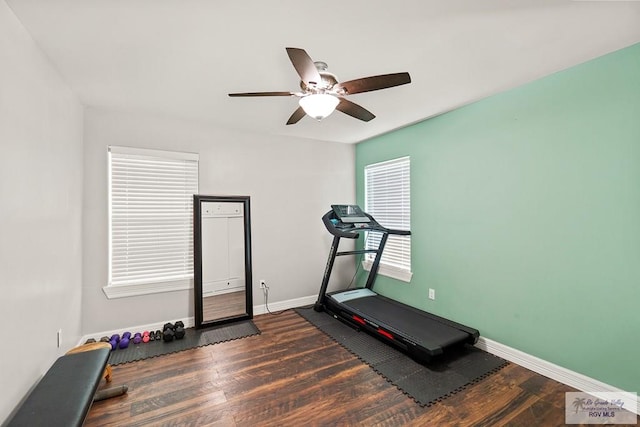 workout room with dark hardwood / wood-style floors and ceiling fan