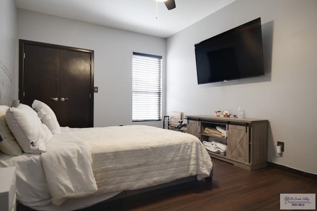 bedroom featuring ceiling fan, dark hardwood / wood-style flooring, and a closet