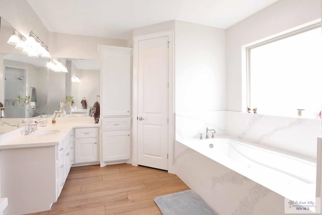 bathroom featuring a washtub, hardwood / wood-style floors, and vanity