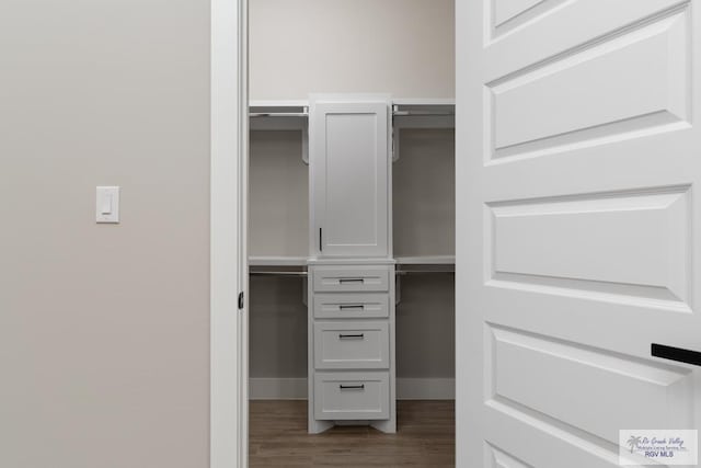 spacious closet with dark hardwood / wood-style flooring