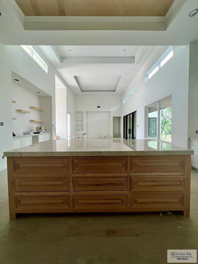 bathroom featuring concrete flooring and a tray ceiling