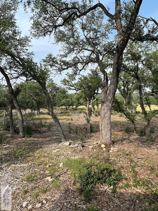 view of landscape