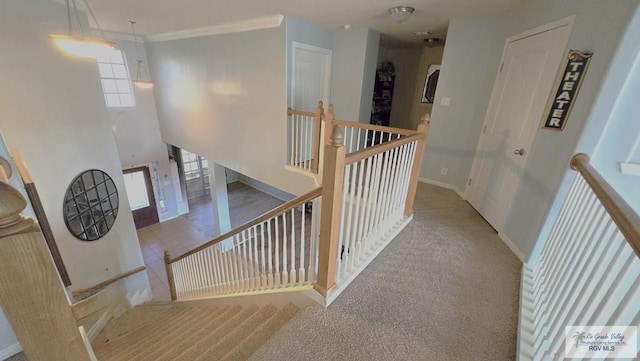 staircase featuring ornamental molding