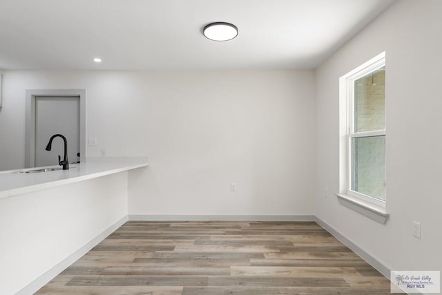 interior space featuring light wood-type flooring and sink