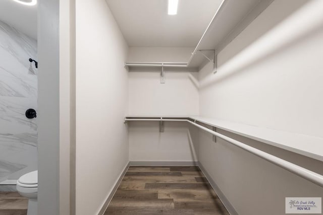 spacious closet featuring dark hardwood / wood-style flooring