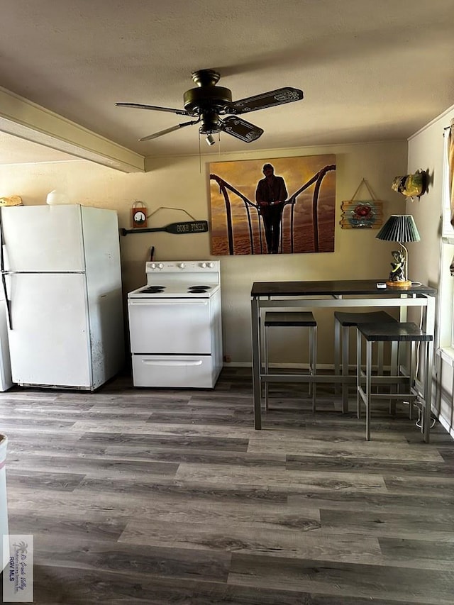 304 1st St, Port Mansfield, TX 78598 - photo 10